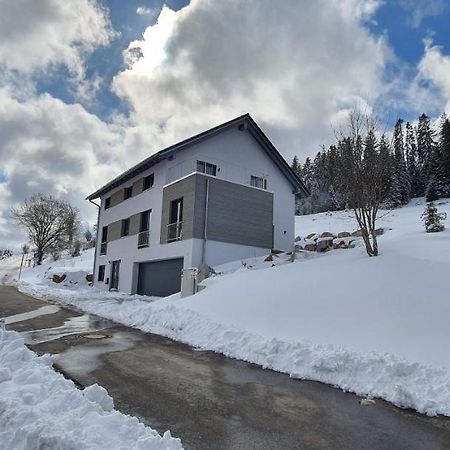 Adlernest Apartment Feldberg  Ngoại thất bức ảnh