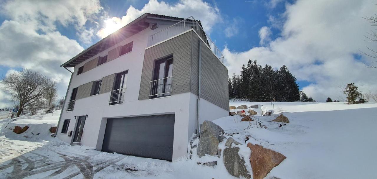 Adlernest Apartment Feldberg  Ngoại thất bức ảnh